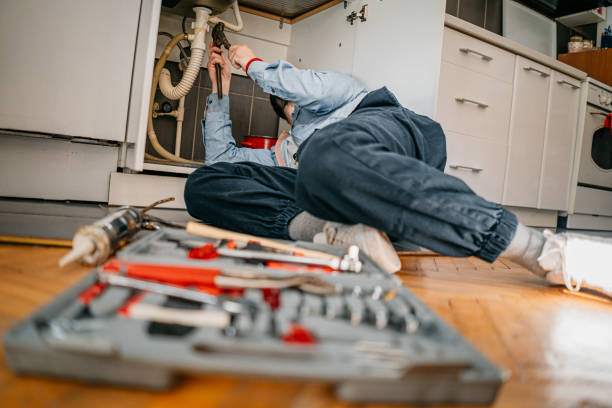 Best Toilet Repair Services  in Weldon Spring, MO